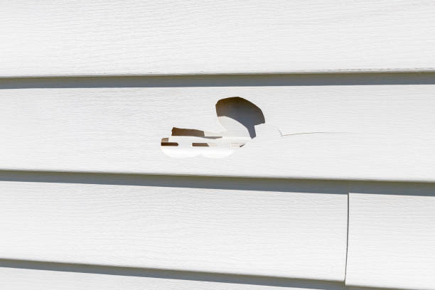 Best Hoarding Cleanup  in Eastport, NY